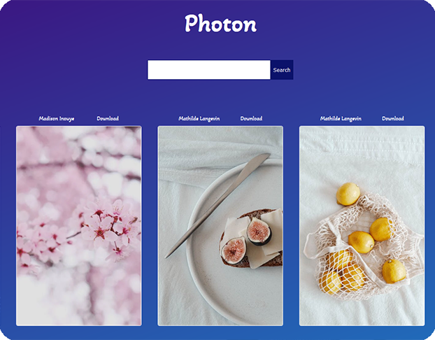 Photon | Search and download high-quality photos on the Internet